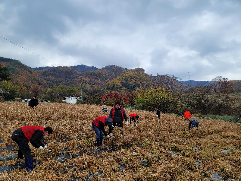 211110 봉사활동2.jpg